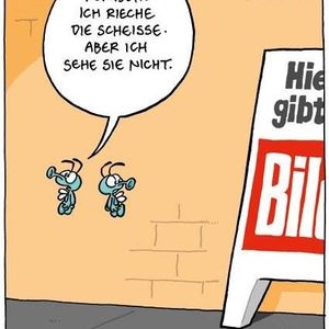 Profile Picture of David Grether (@david.grether) on Myspace