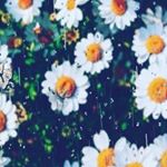 Profile Picture of MAKAYLA JEAN PHILLIPS (@makayla_jean_phillips) on Instagram