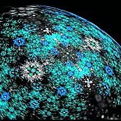 Profile Picture of Crypto_woo (@wooramLee3) on Twitter