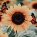 Profile Picture of Lily (@lilysmith68) on Pinterest
