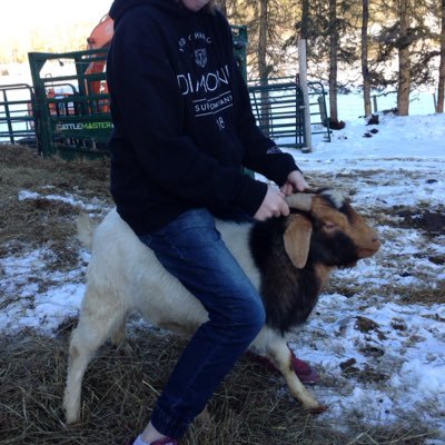 Profile Picture of Keithcrozier (@Keithcrozier3) on Twitter