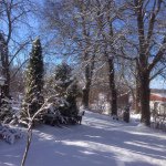 Profile Picture of Michael Demmers (@micdem27) on Instagram