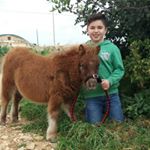 Profile Picture of Sam Tabone (@tabonesam) on Instagram