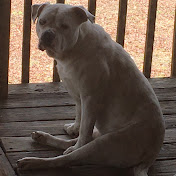 Profile Picture of Curtis Horton (AngryAtom1) (@curtishorton7466) on Youtube