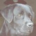 Profile Picture of Marilyn Claude Chaput (@locampestre.chaput) on Facebook