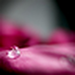 Profile Picture of Khalid Al-yazeedi (@*k.a) on Flickr