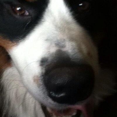 Profile Picture of Gordon Lytle (@mighty279) on Twitter