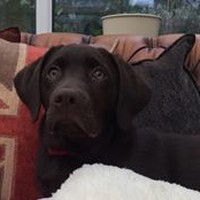 Profile Picture of Zoe Clayton (@zoe-clayton-1) on Quora