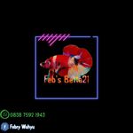 Profile Picture of Feb's Betta21 (@febs_betta21) on Instagram