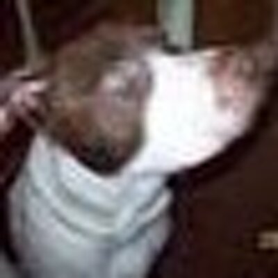Profile Picture of Jonathan Purkey (@truefly) on Twitter