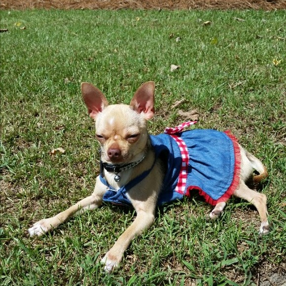 Profile Picture of Rusty Glover (@ruhglover) on Poshmark