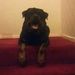 Profile Picture of Joan Chalmers (@joan_4833) on Pinterest