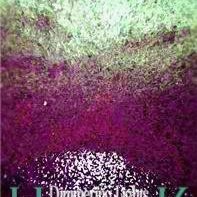 Profile Picture of Hyper-k (@2hyperk) on Myspace