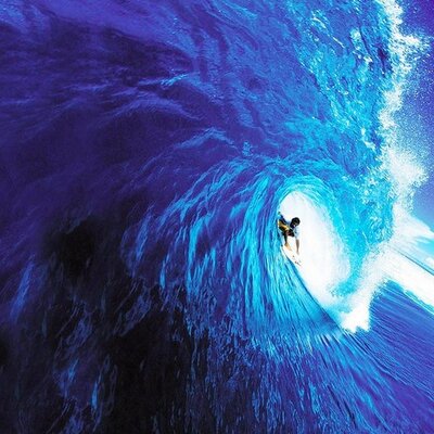 Profile Picture of Hawaii's New Wave (@JasmineKealoha) on Twitter