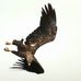 Profile Picture of Martin Baumgart (@martin.baumgart.944) on Facebook