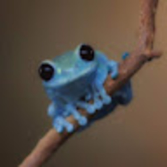 Profile Picture of Kelly Hoerter (@kellyhoerter) on Poshmark