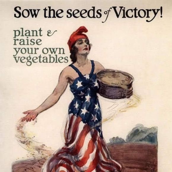 Profile Picture of Rachel Heithaus (@rachelheithaus) on Poshmark