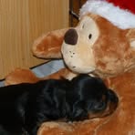 Jess Borsenberger - Facebook Profile Picture of Jess Borsenberger (@jess.borsenberger) on Facebook