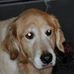 Profile Picture of Joyce Marshall (@joyce.marshall.35) on Facebook
