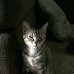 Profile Picture of Isaiah (@isaiah_hinton_) on Instagram