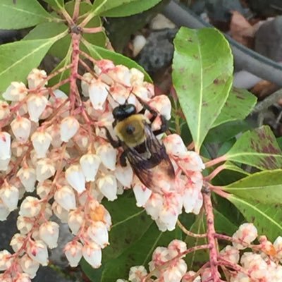 Profile Picture of Tracy Luisser (@JuliaStephenMom) on Twitter