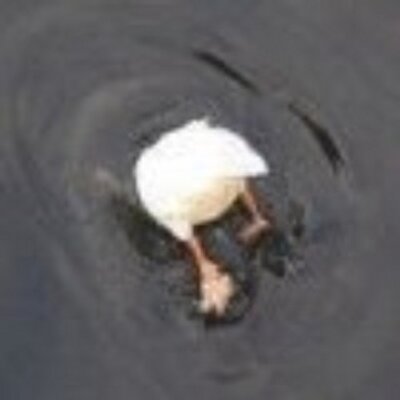 Profile Picture of Alan Felgate (@afelgate) on Twitter