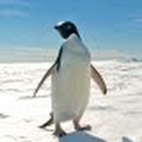 Profile Picture of Graham Howland (@graham-howland) on Quora