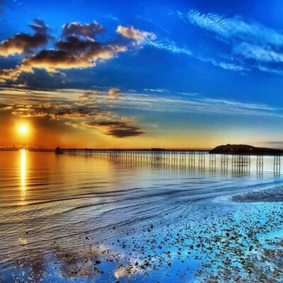 Profile Picture of Amy Harrell (@bama7865) on Twitter