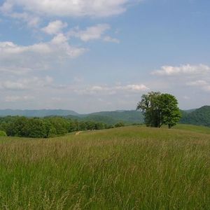 Profile Picture of Craig Seaver (@196646478) on Myspace