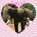 Profile Picture of Juliann Kellams (@juliann.kellams) on Facebook