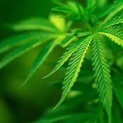 Profile Picture of Andrew Chico (@andrewchico3755) on Youtube