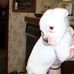 Profile Picture of Lola Bushnell (@lola.bushnell.3) on Facebook