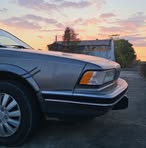 Profile Picture of Isabella Sayers (@Isabella-Sayers) on Facebook