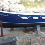 Profile Picture of Michele Meglio (@megliomichele) on Instagram