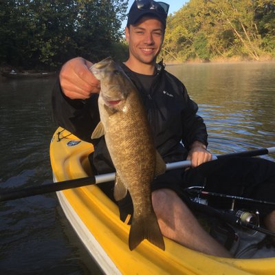 Profile Picture of Mitchell Forde (@Mitchell4D) on Twitter