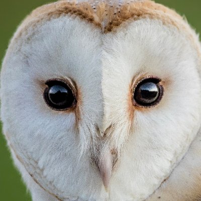 Profile Picture of James Fisher (@j2fisher) on Twitter