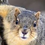 Profile Picture of George Foder (@foderfod) on Instagram