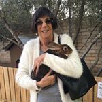 Profile Picture of Peggy Cohen (@peggy.cohen.773) on Instagram