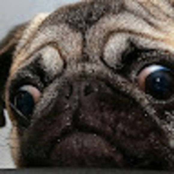 Profile Picture of Hunter Coltin (@huntercoltin) on Poshmark