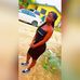 Profile Picture of Janelle Samuel (@janelle.samuel.39) on Facebook