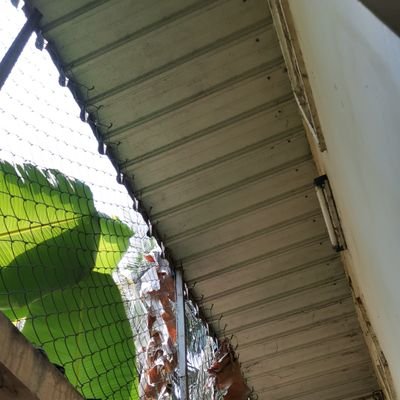 Profile Picture of Mokar (@Mokar80494982) on Twitter