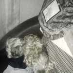 Profile Picture of Tony Edge (@tony.edge.731) on Instagram