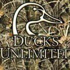 Profile Picture of Seth Blankenship (@sgblankenship12) on Instagram