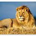 Profile Picture of Joseph Srour (@joseph.srour.562) on Facebook