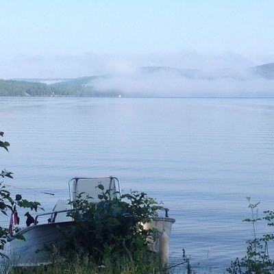 Profile Picture of Ray Tanguay (@SloMoSprinklers) on Twitter