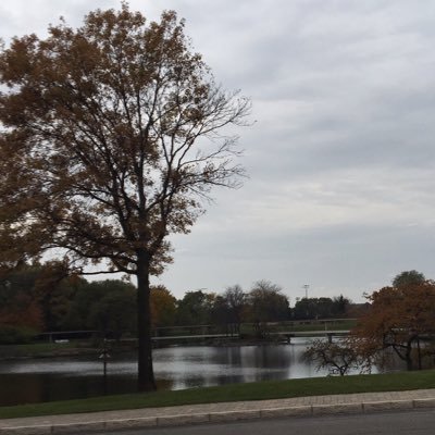 Profile Picture of ShangGao (@ShangGao11) on Twitter