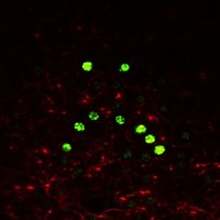 Profile Picture of Tony Lien (@tony-lien) on Quora