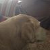 Profile Picture of Larry Schlicht (@larry.schlicht.5) on Facebook