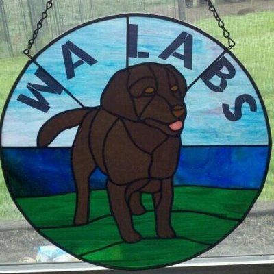 Profile Picture of Jim Young (@WALABS_Kennel) on Twitter