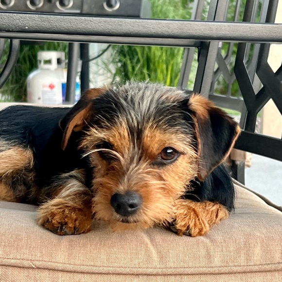 Profile Picture of Fair R (@whenleavesfall) on Poshmark